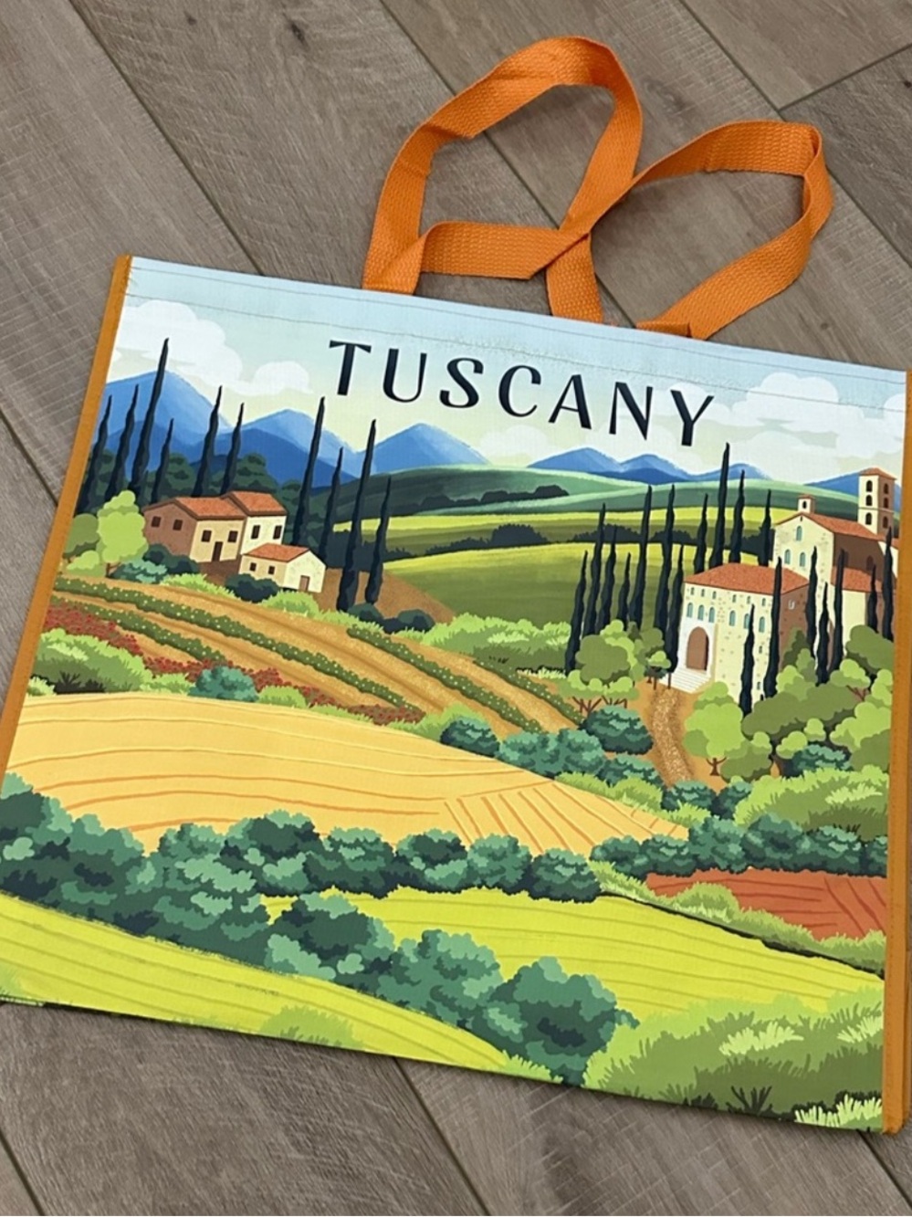 Homegoods TJMaxx Marshalls Viral Tuscany Italian Countryside Scene Tote Bag NWOT